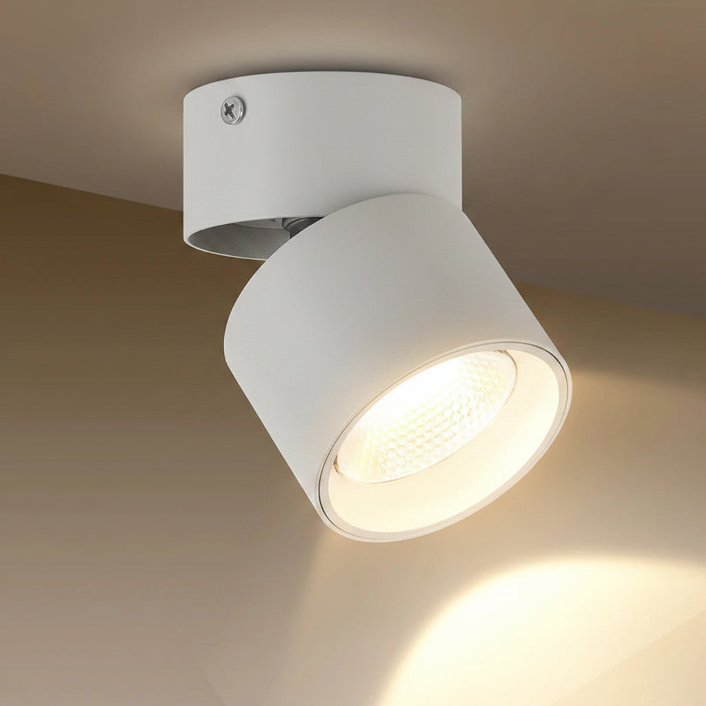 Plafond Opbouwspot LED Downlight Draaibaar en Kantelbaar