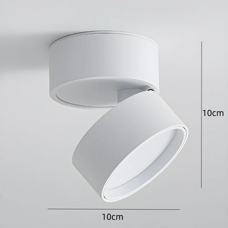 Plafondspot Minimalistisch met Draaibare Kop en Geïntegreerde LED