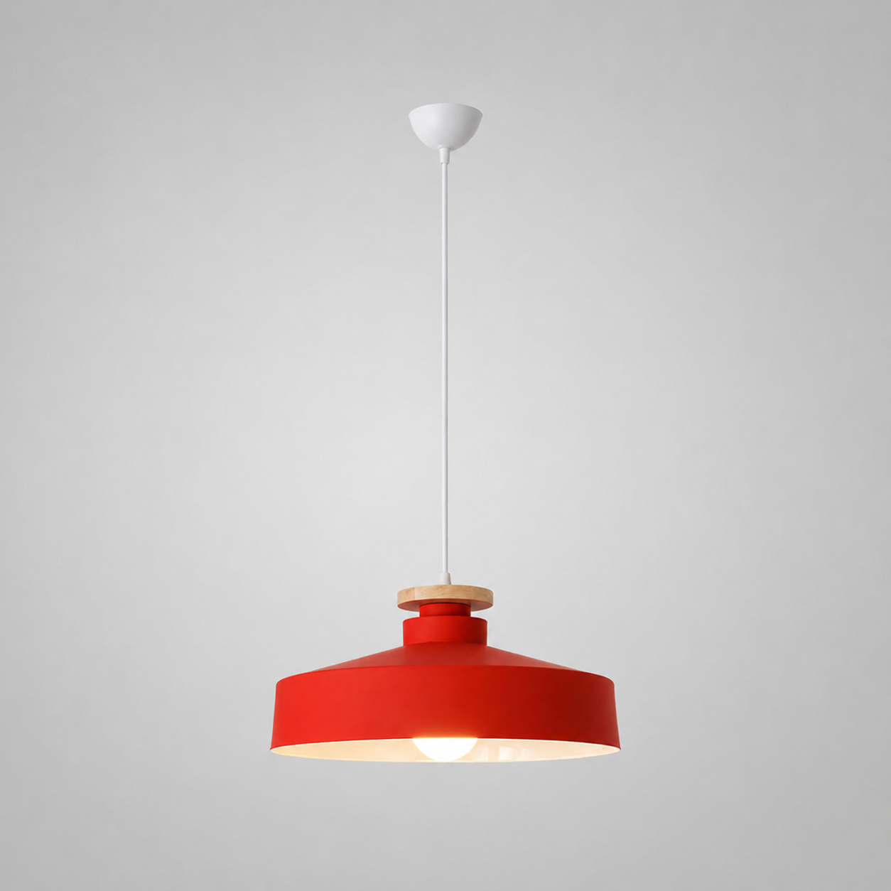 Hanglamp Scandinavisch met Houten Detail en Metalen Kap