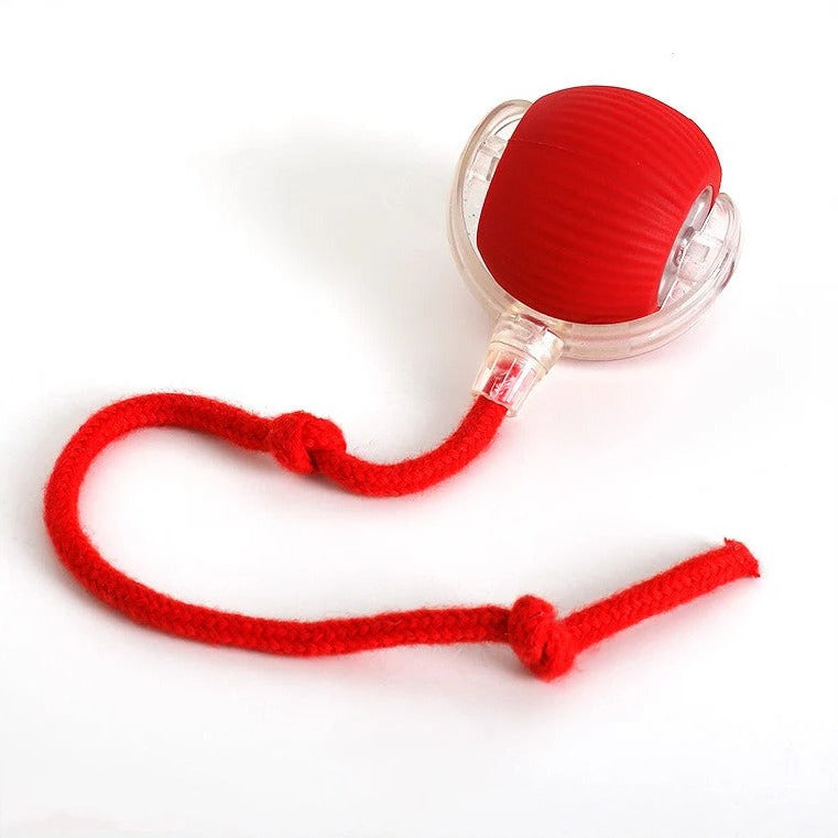 Interactieve Rollende Bal Hondenspeelgoed met Staart en USB-oplaadkabel