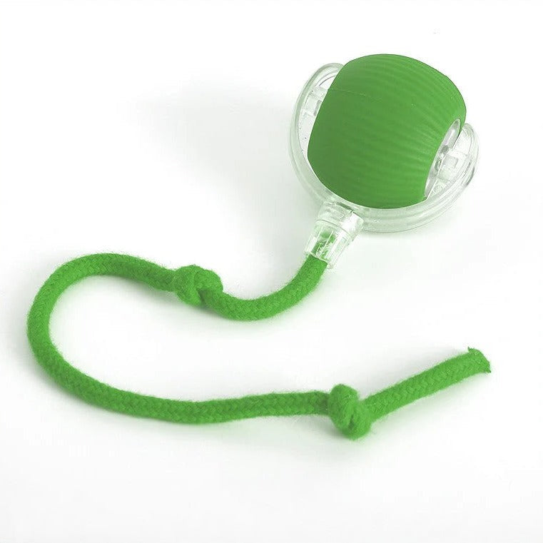 Interactieve Rollende Bal Hondenspeelgoed met Staart en USB-oplaadkabel ##POS:3##
