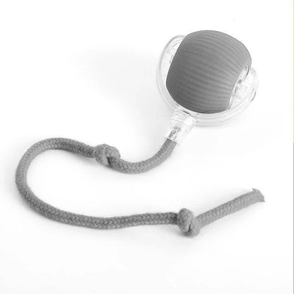 Interactieve Rollende Bal Hondenspeelgoed met Staart en USB-oplaadkabel