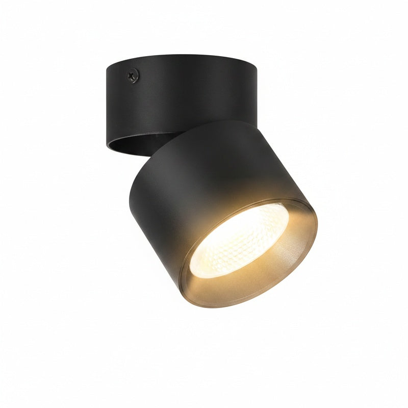 Plafond Opbouwspot LED Downlight Draaibaar en Kantelbaar