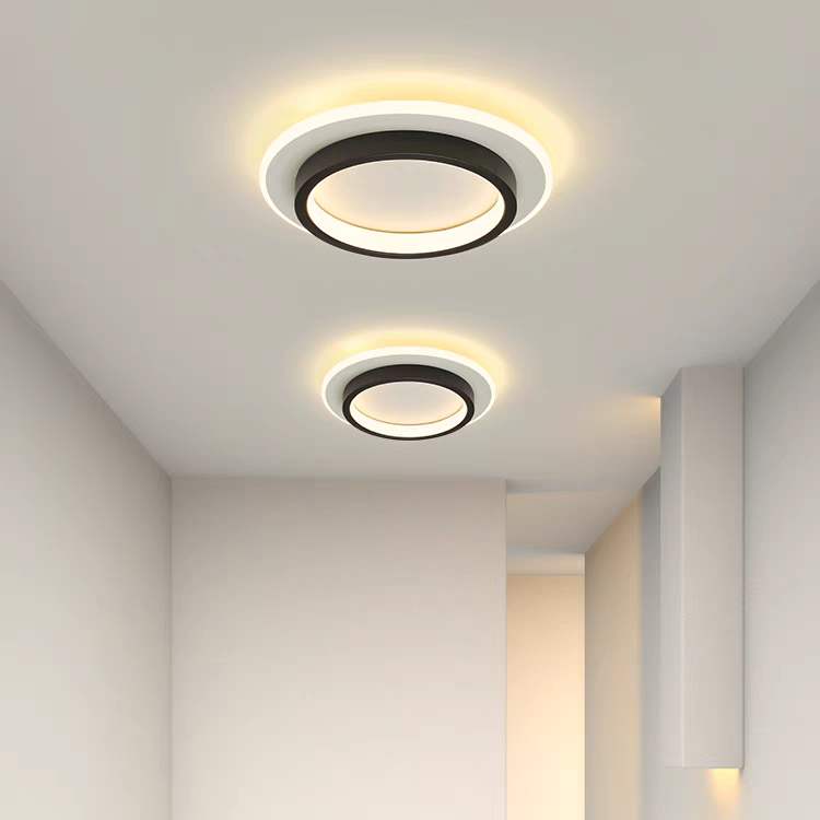 Plafondlamp LED Rond Modern Flush Mount voor Slaapkamer en Hal