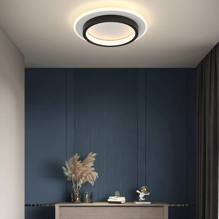Plafondlamp LED Rond Modern Flush Mount voor Slaapkamer en Hal