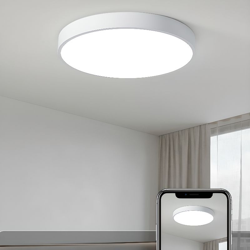 Plafondlamp Minimalist met Ronde LED Schijf en Vlakke Montage