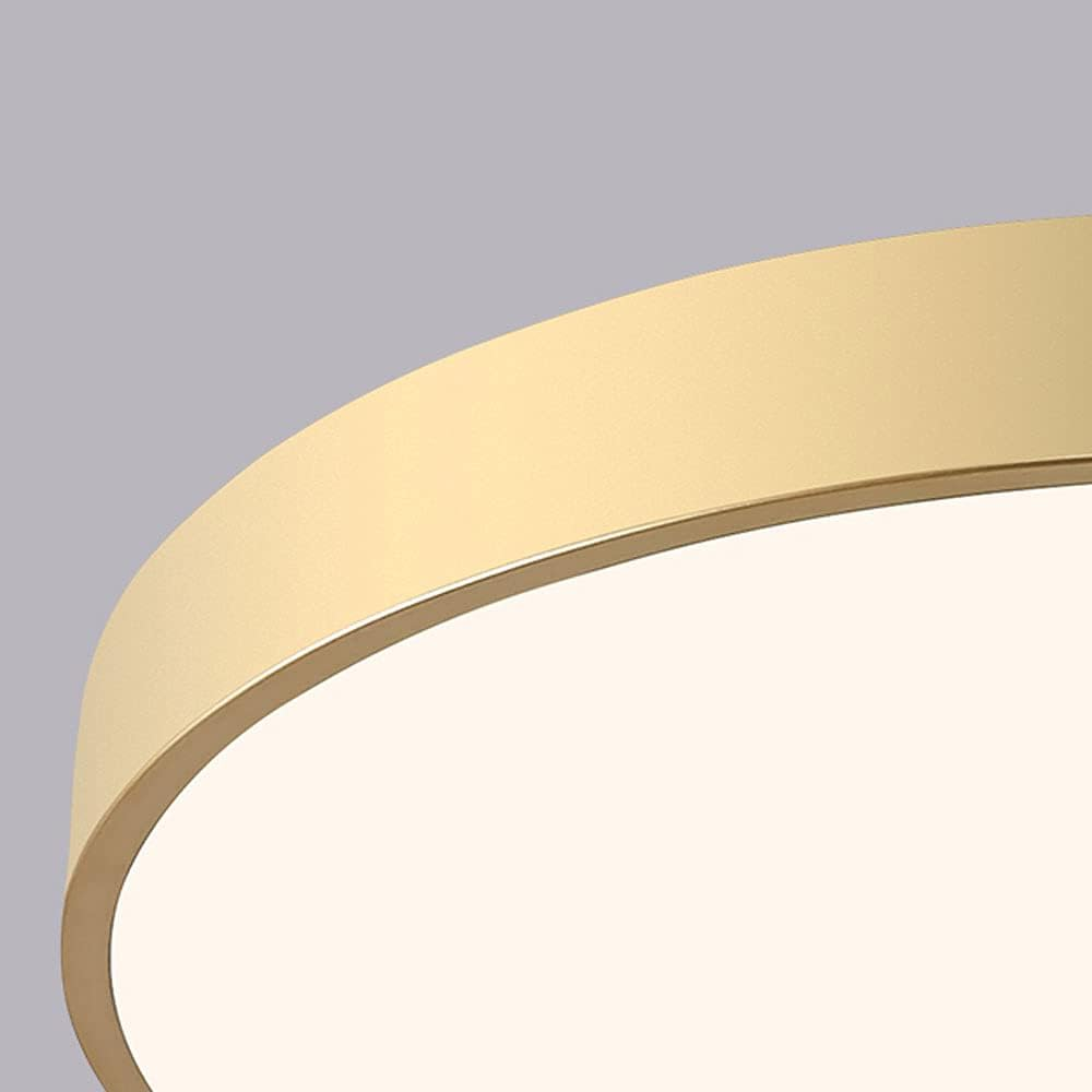 Plafondlamp Minimalist met Ronde LED Schijf en Vlakke Montage ##POS:31##