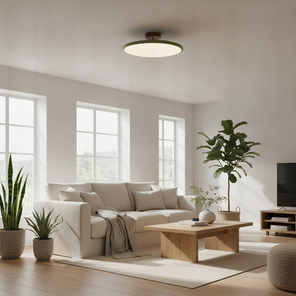 Plafondlamp Minimalistisch met Ronde Schijfkap en Geïntegreerd LED