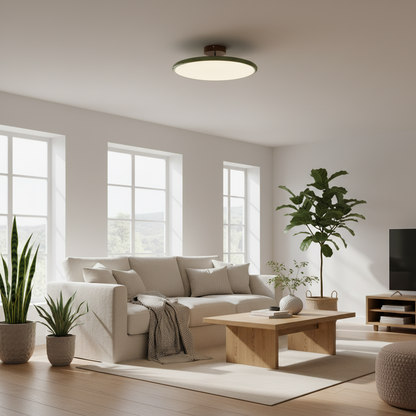 Plafondlamp Minimalistisch met Ronde Schijfkap en Geïntegreerd LED