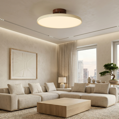 Plafondlamp Minimalistisch met Ronde Schijfkap en Geïntegreerd LED