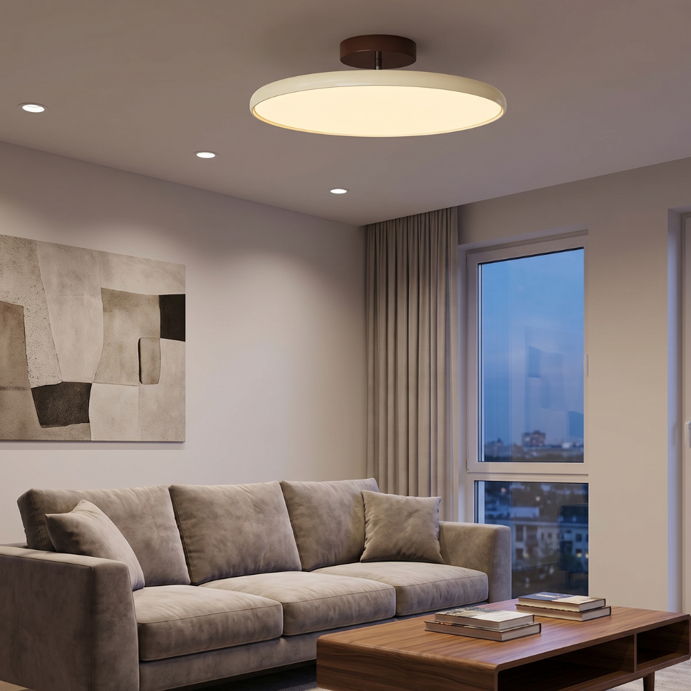 Plafondlamp Minimalistisch met Ronde Schijfkap en Geïntegreerd LED