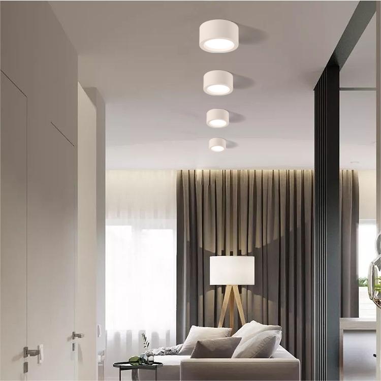 Plafondlamp Minimalistisch Rond met Geïntegreerde LED en Opbouwmontage