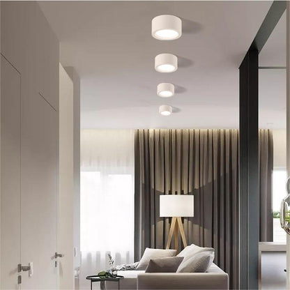 Plafondlamp Minimalistisch Rond met Geïntegreerde LED en Opbouwmontage