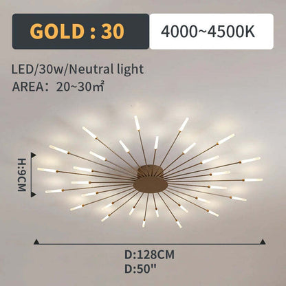 Plafondlamp Modern met Vuurwerk Design en Geïntegreerde LED