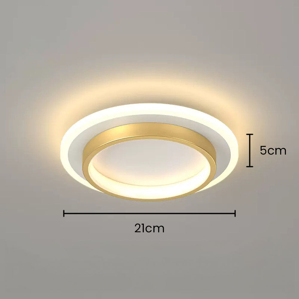 Plafondlamp Moderne LED met Dubbele Ring en Ronde Vorm