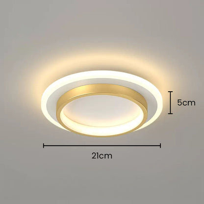 Plafondlamp Moderne LED met Dubbele Ring en Ronde Vorm