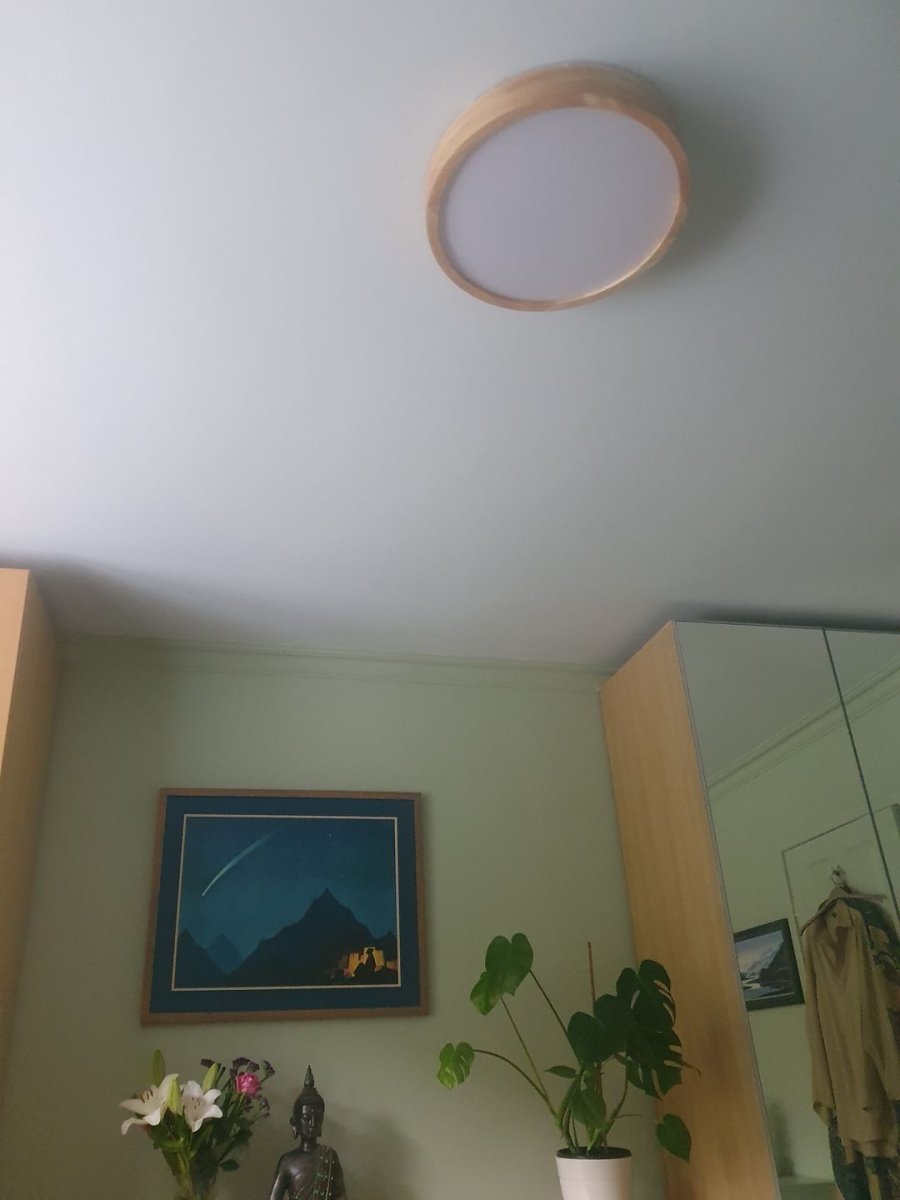 Plafondlamp Scandinavisch met Houten Rand en Dimbare Geïntegreerde LED