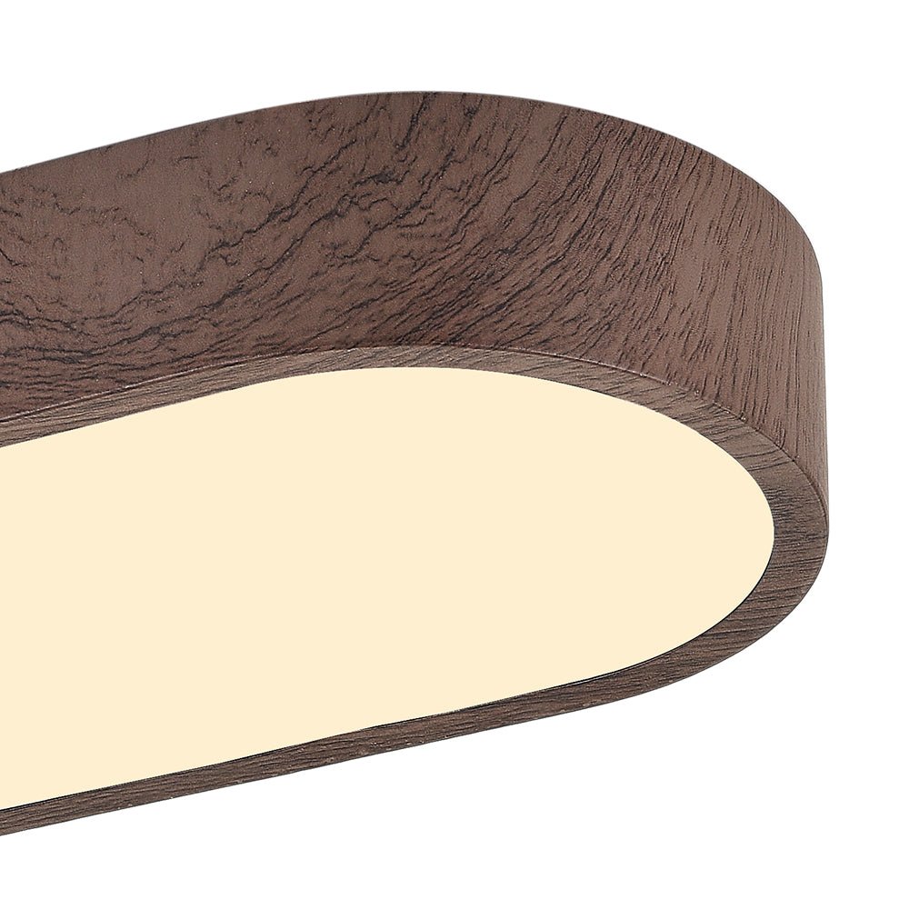 Plafondlamp Scandinavisch met Ovale Vorm en Geïntegreerde LED