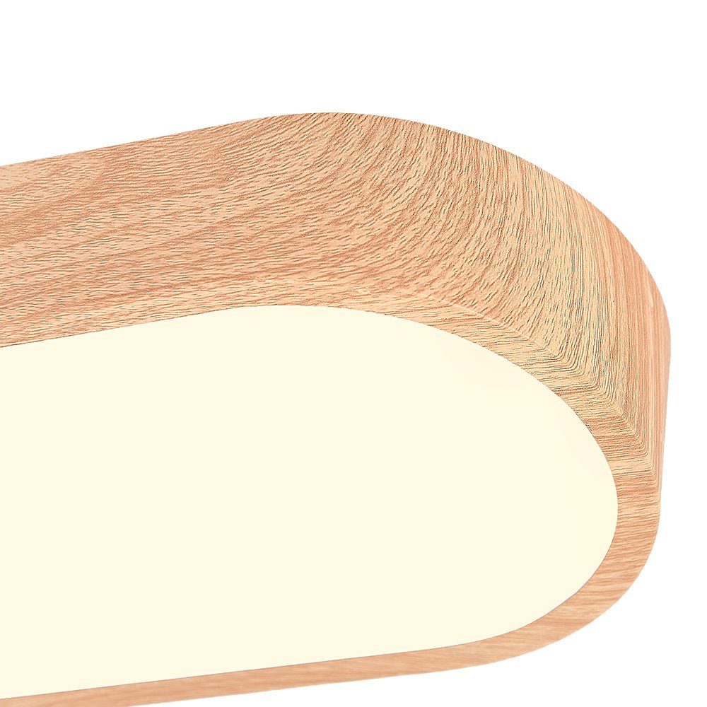 Plafondlamp Scandinavisch met Ovale Vorm en Geïntegreerde LED