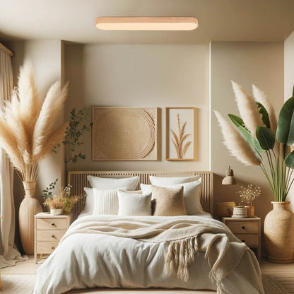 Plafondlamp Scandinavisch met Ovale Vorm en Geïntegreerde LED