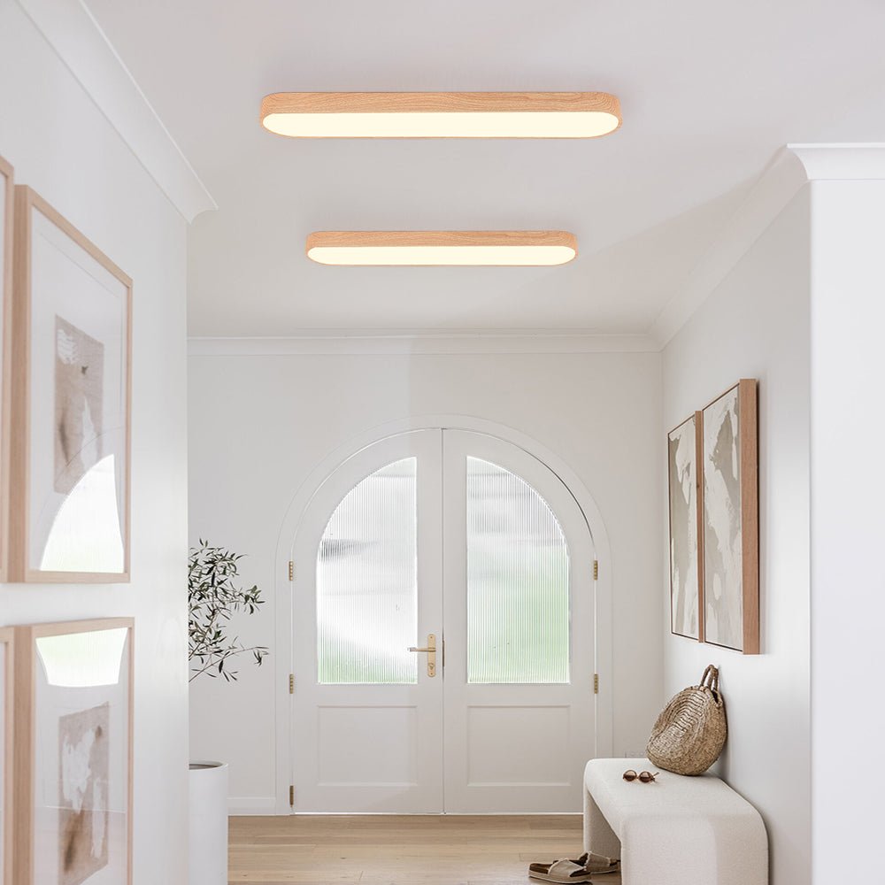 Plafondlamp Scandinavisch met Ovale Vorm en Geïntegreerde LED