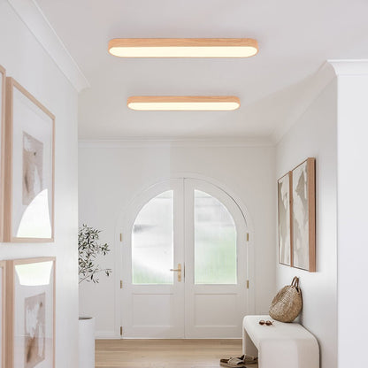 Plafondlamp Scandinavisch met Ovale Vorm en Geïntegreerde LED