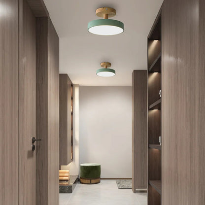 Plafondlamp Scandinavisch met Ronde Kap en Houten Basis