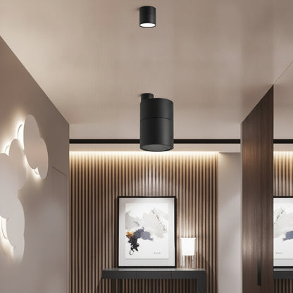 Plafondspot Minimalist met Draaibare Kop en Geïntegreerde LED