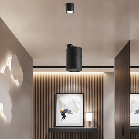 Plafondspot Minimalist met Draaibare Kop en Geïntegreerde LED