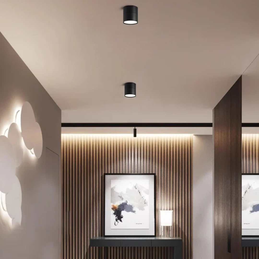 Plafondspot Minimalist met Draaibare Kop en Geïntegreerde LED