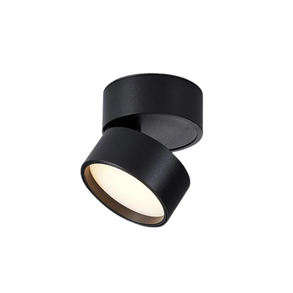 Plafondspot Minimalist met Draaibare Kop en Geïntegreerde LED