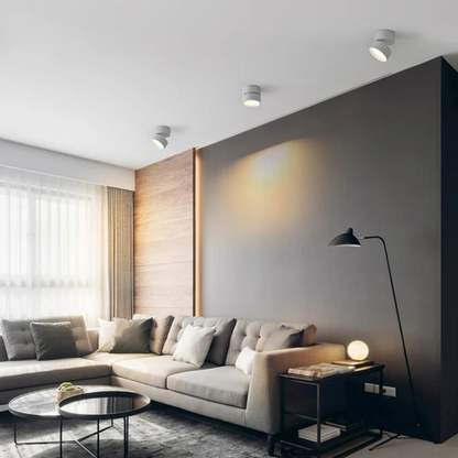 Plafondspot Minimalist met Draaibare Kop en Geïntegreerde LED