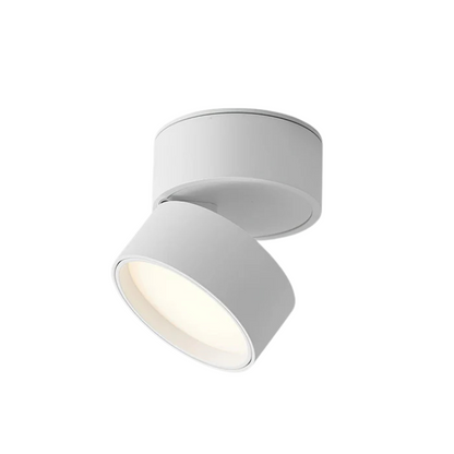 Plafondspot Minimalist met Draaibare Kop en Geïntegreerde LED