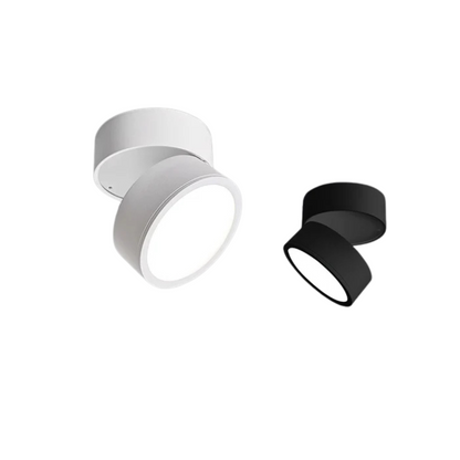 Plafondspot Minimalist met Draaibare Kop en Geïntegreerde LED
