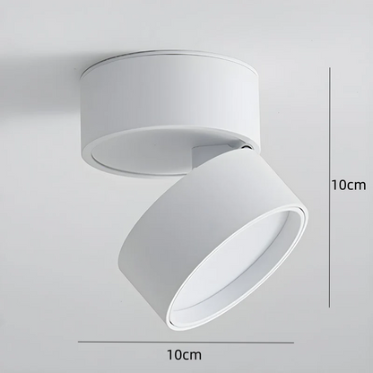 Plafondspot Minimalistisch met Draaibare Kop en Geïntegreerde LED