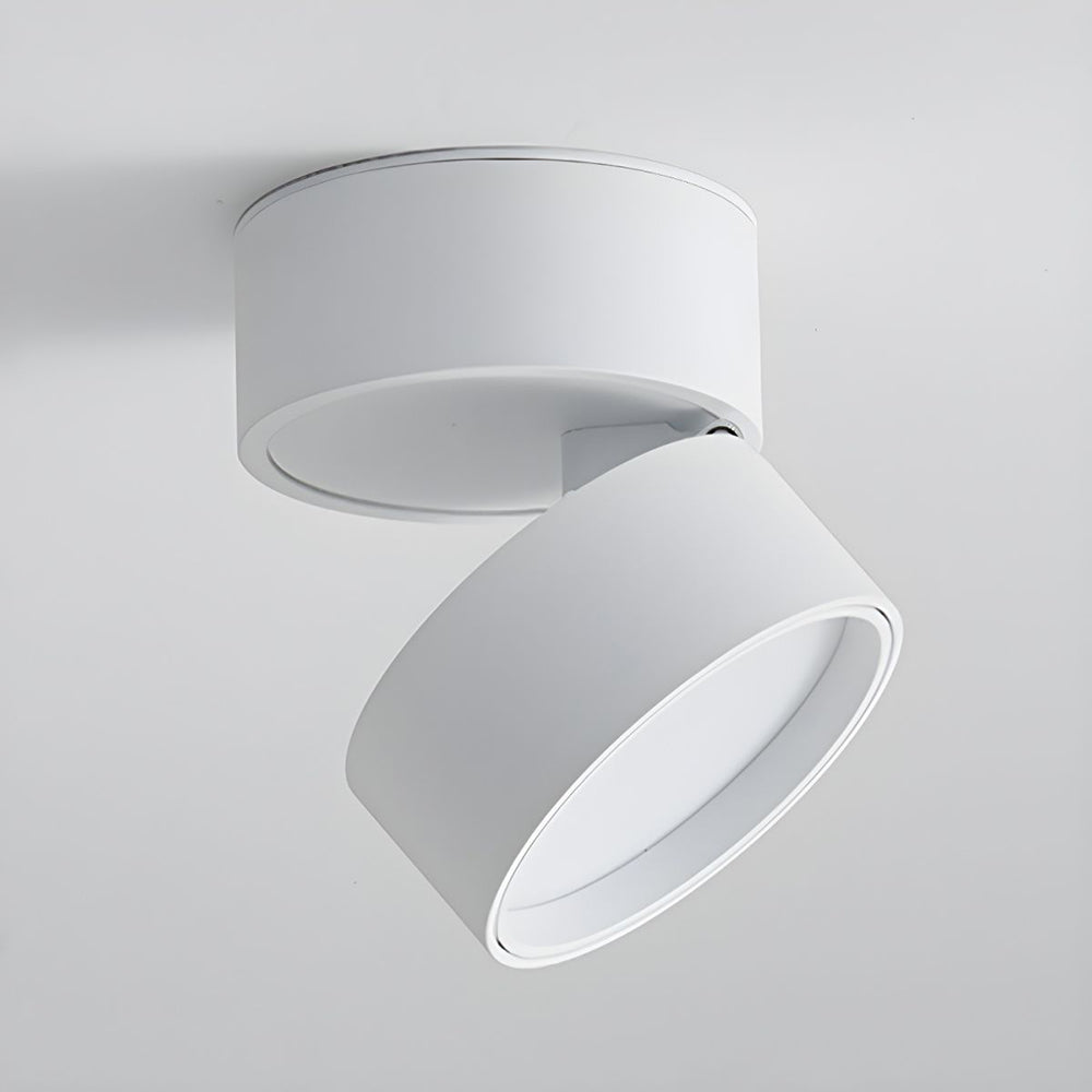 Plafondspot Minimalistisch met Draaibare Kop en Geïntegreerde LED