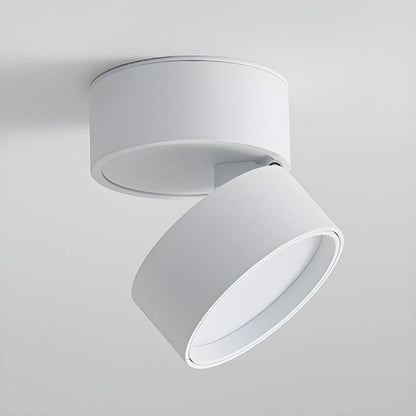 Plafondspot Minimalistisch met Draaibare Kop en Geïntegreerde LED