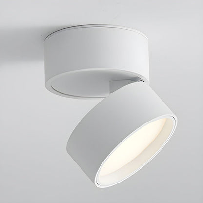 Plafondspot Minimalistisch met Draaibare Kop en Geïntegreerde LED