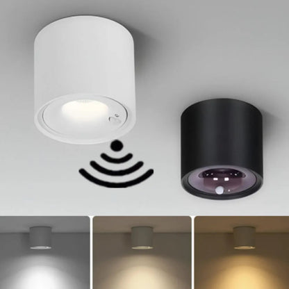 Plafondspot Minimalistisch met PIR Bewegingssensor en Instelbare Lichtkleur