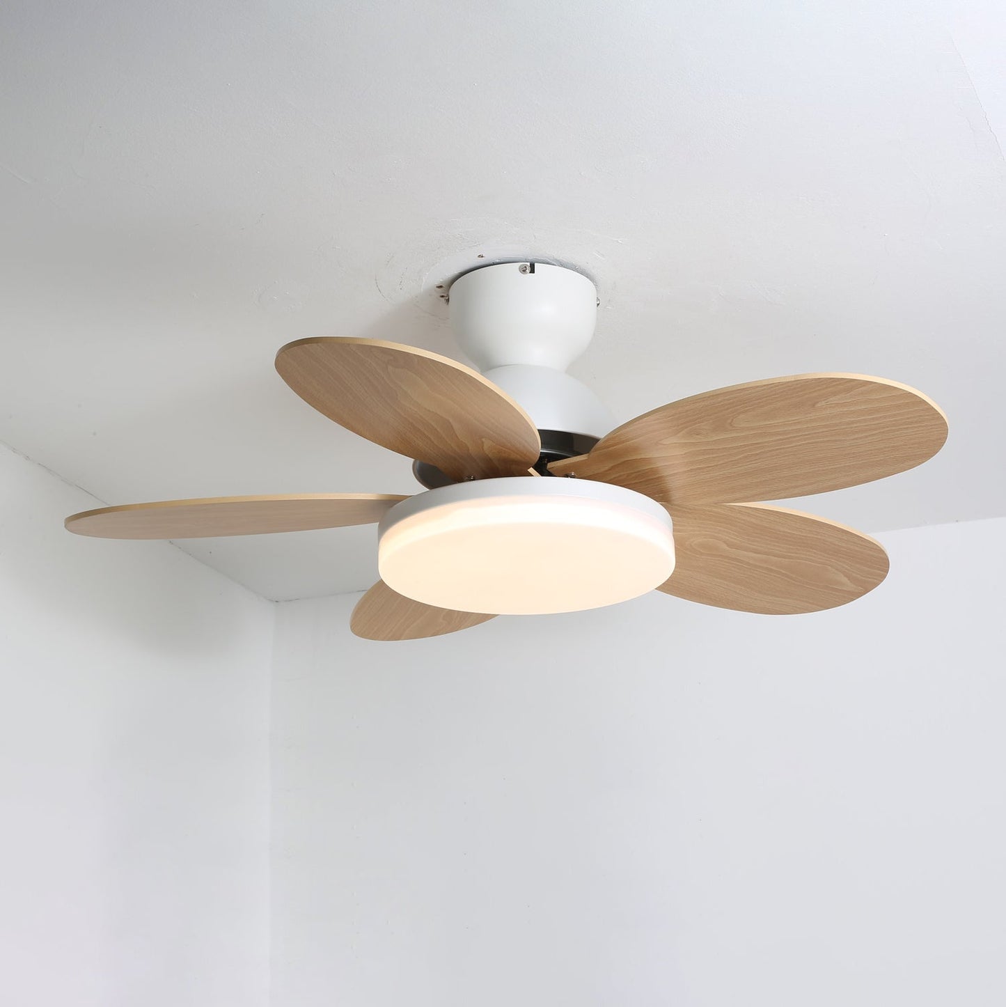 Plafondventilator met Lamp Bloembladdesign DC Motor 6 Snelheden