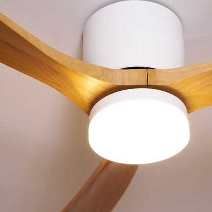 Plafondventilator Scandinavisch met LED Verlichting en Stille DC Motor