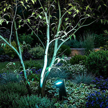 Solar Tuinspot Modern met Instelbare Hoek en RGB of Warm Wit Licht