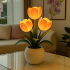 Oranje