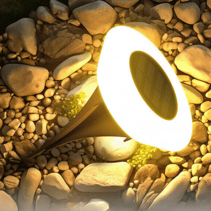 Tuinlamp Grondspot Solarlamp LED met Automatische Sensor voor Tuin en Pad